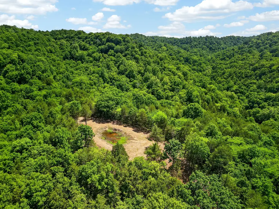 2926 Bryant Ridge Rd, Baxter, TN 38544 - #2