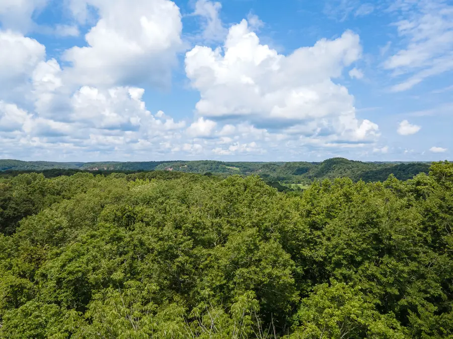 1300 Narrows Of The Harpeth Rd, Kingston Springs, TN 37082 - #2
