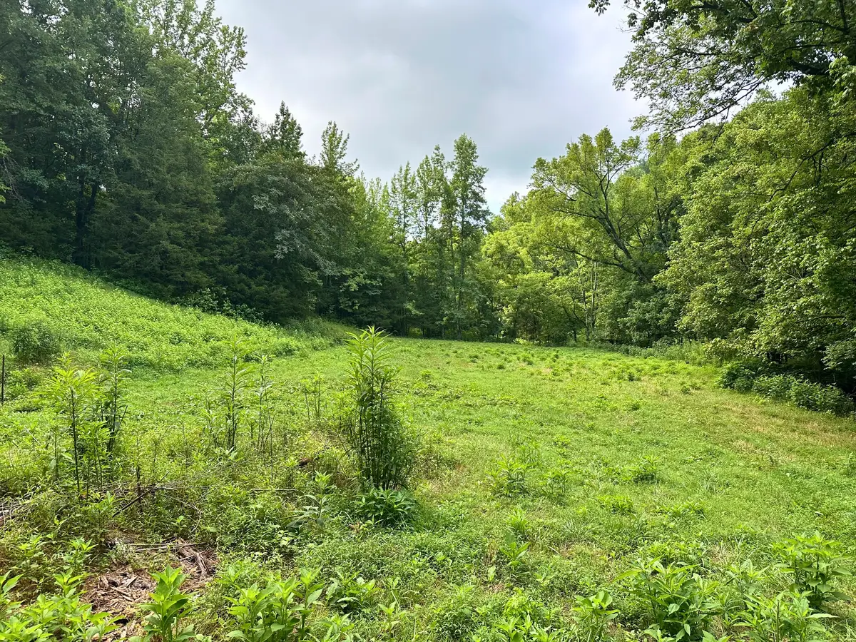 0 Dickens Rd, Buffalo Valley, TN 38548 - #1