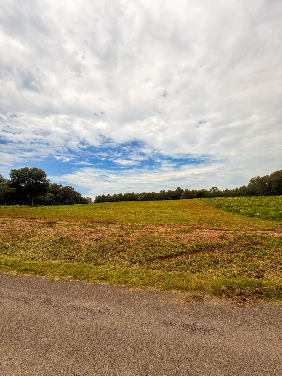 520 Ferrell Rd, Smithville, TN 37166 - #2