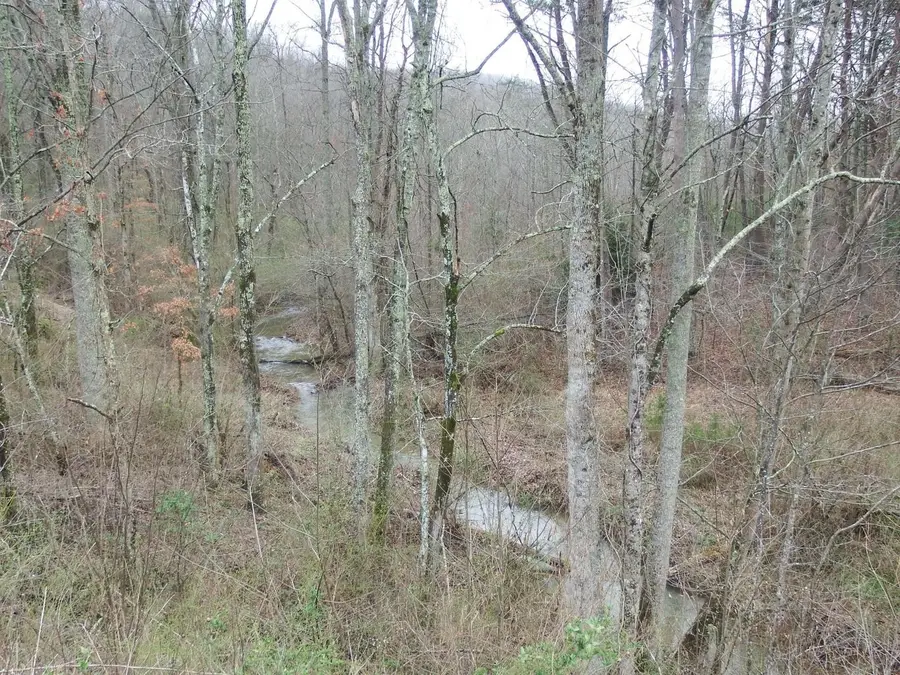 0 Main St, Palmer, TN 37365 - #3