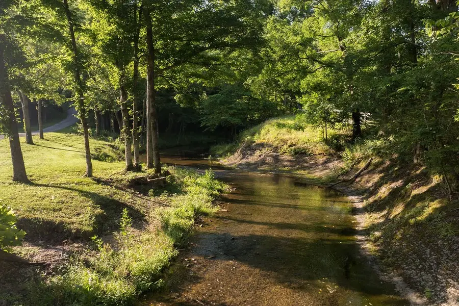 0 Shoals Branch Rd, Primm Springs, TN 38476 - #3