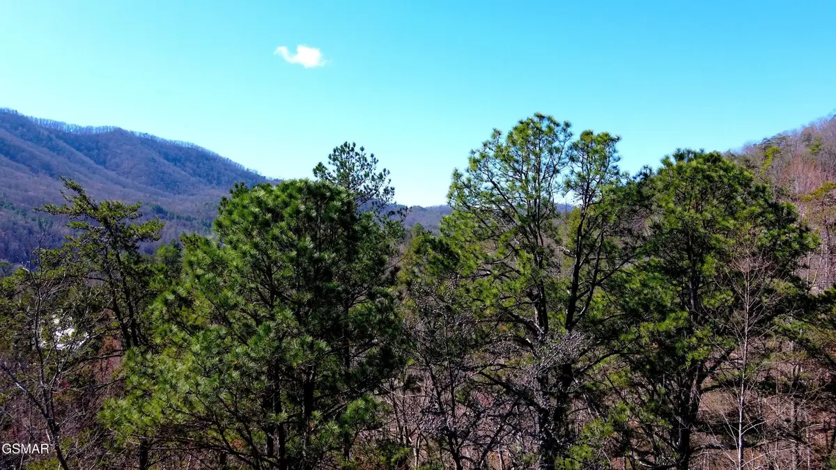 4 Walden Ridge Road, Sevierville, TN 37862 - #1