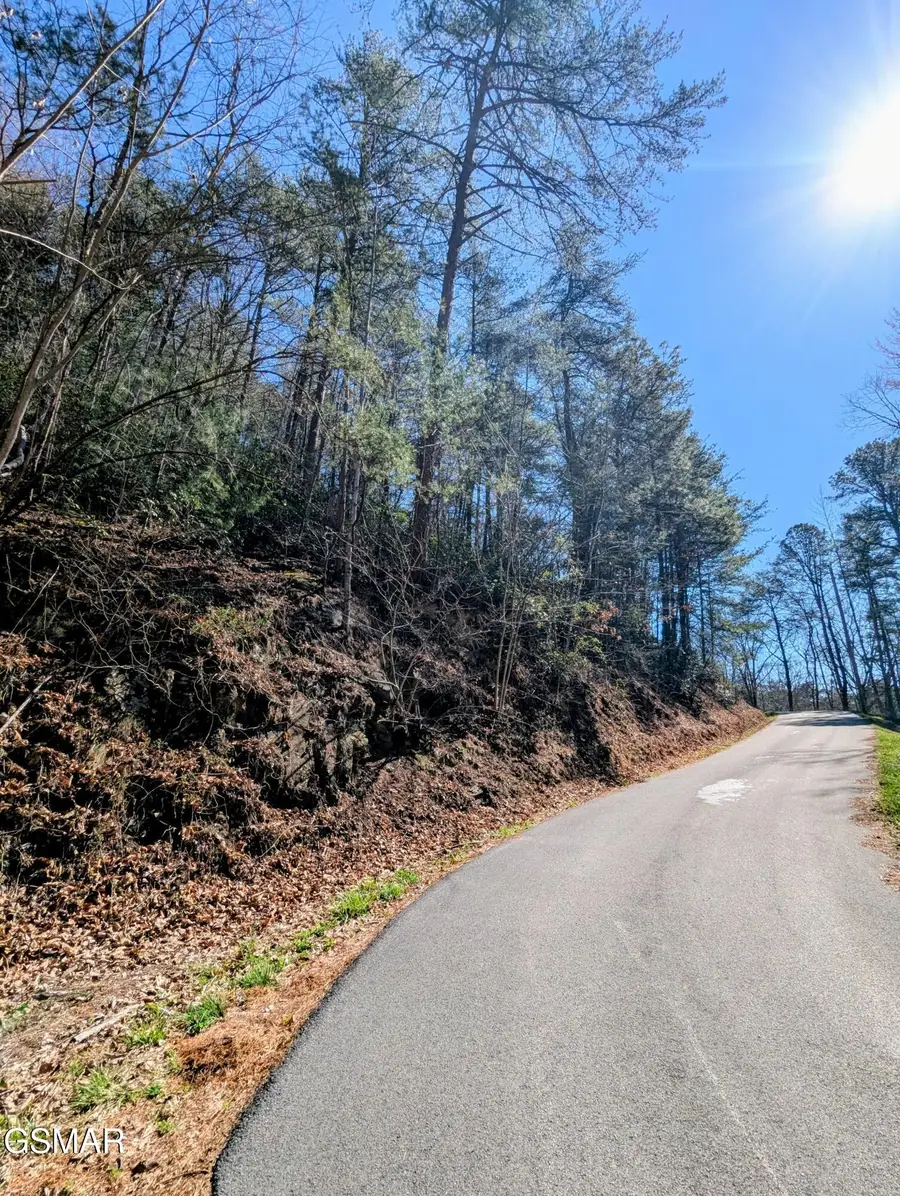 4 Walden Ridge Road, Sevierville, TN 37862 - #3