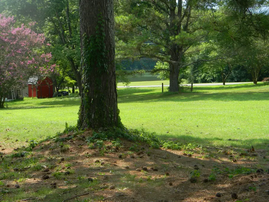 102 Mckinney St, Estill Springs, TN 37330 - #2