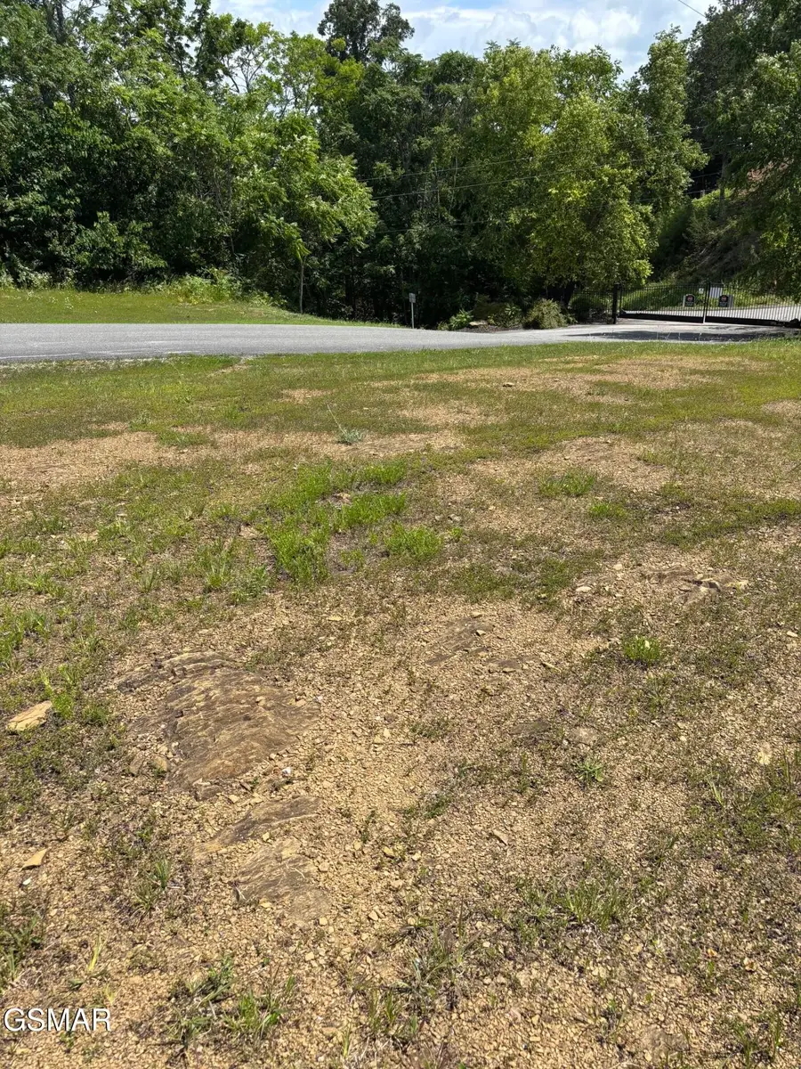 57 Mary Alice Way, Sevierville, TN 37876 - #3