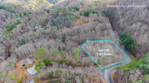 123 Long Rifle Road, Sevierville, TN 37862