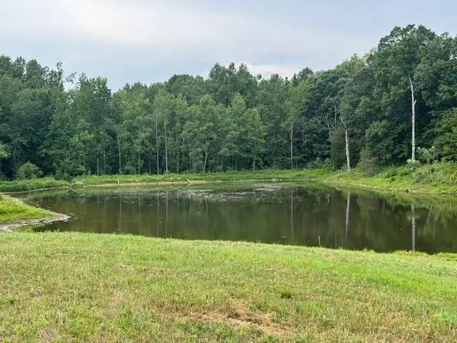 0 Bob Perry Road, Bethpage, TN 37022 - #3