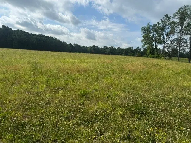 0 Cal Durham Road, Bethpage, TN 37022 - #2