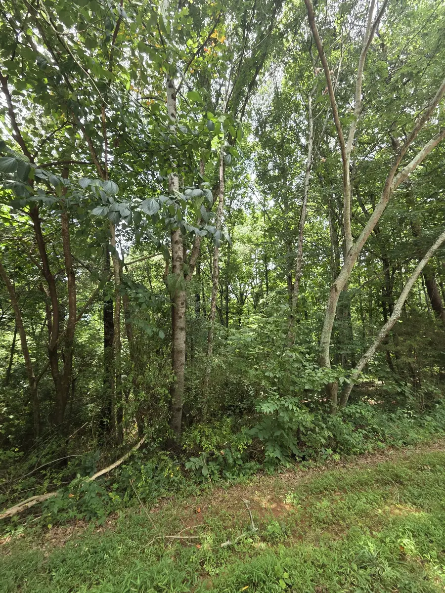 0 Callen Cv, Athens, TN 37303 - #2