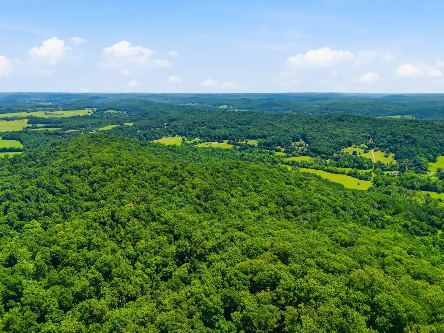 813 Ward Rd, Decatur, TN 37322 - #3