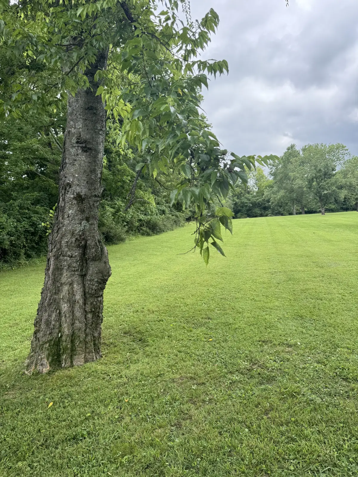 107 Tyne Bay Dr, Hendersonville, TN 37075 - #1