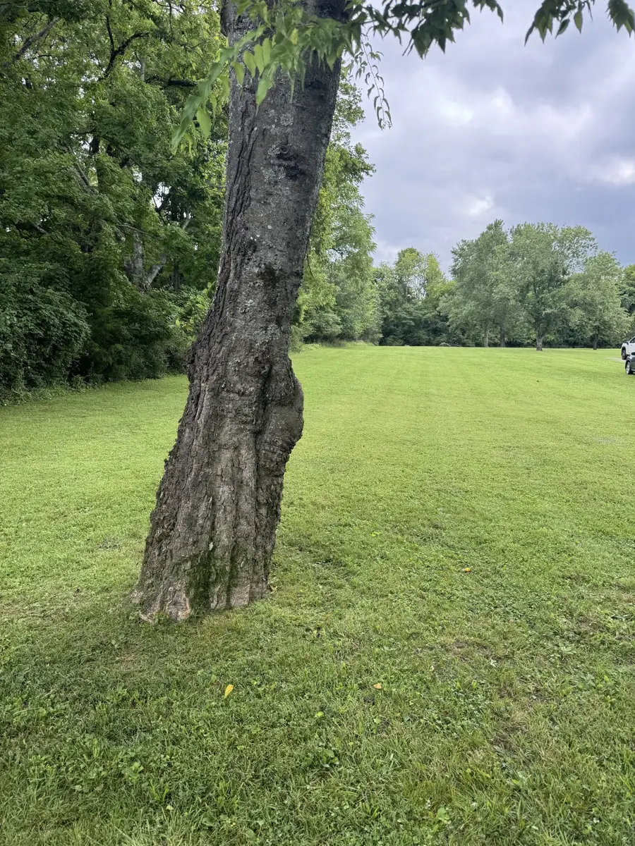 107 Tyne Bay Dr, Hendersonville, TN 37075 - #3