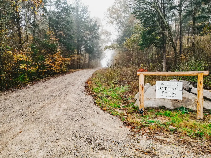 2100 Hill Station Rd, Columbia, TN 38401 - #3