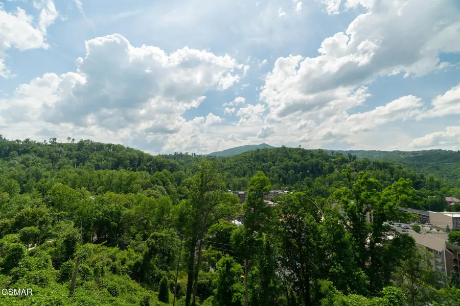 748 Widows Knob Road, Gatlinburg, TN 37738 - #3