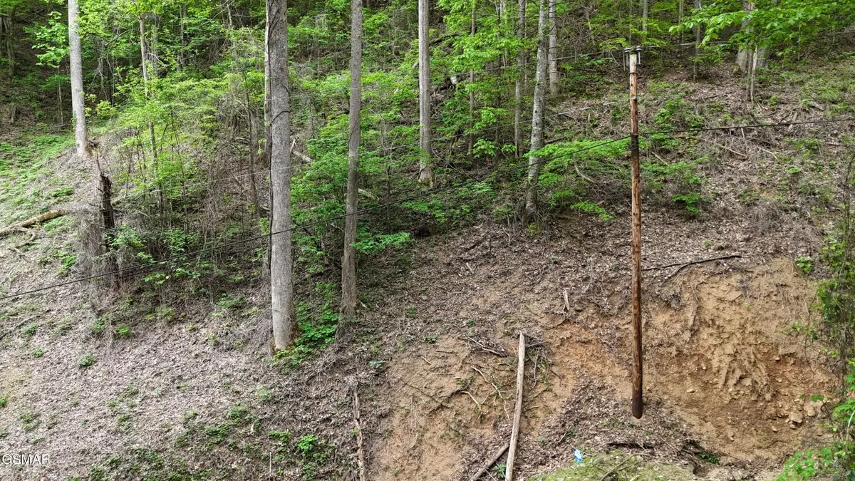 33 Black Walnut Flats Road, Sevierville, TN 37876 - #1