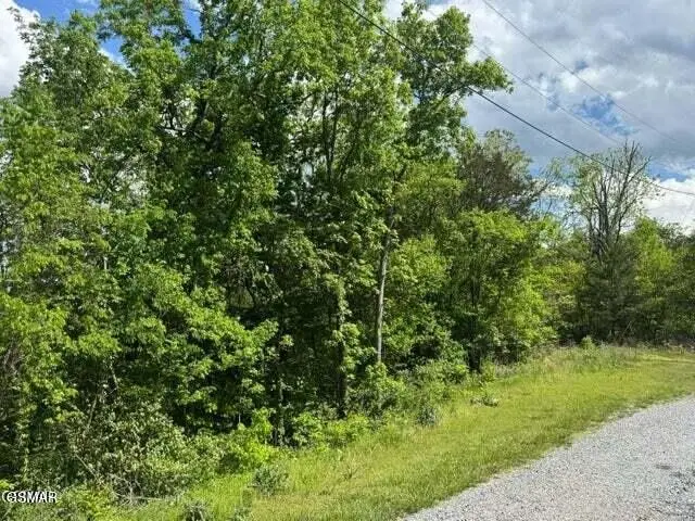 0 Sugar Cove Way, Newport, TN 37821 - #1
