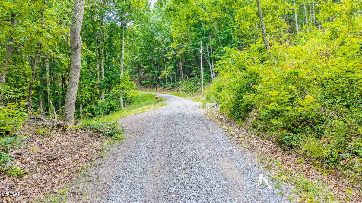 1038 Clingmans View, Sevierville, TN 37876 - #1