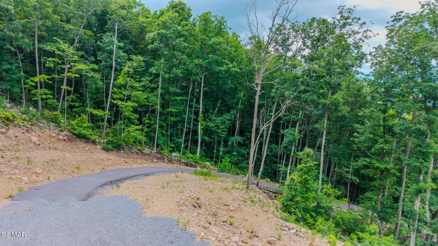 1038 Clingmans View, Sevierville, TN 37876 - #3