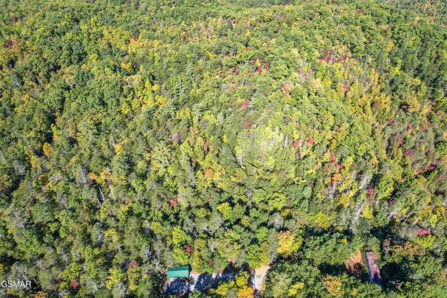 0 Branam Hollow Road Off, Gatlinburg, TN 37738 - #3