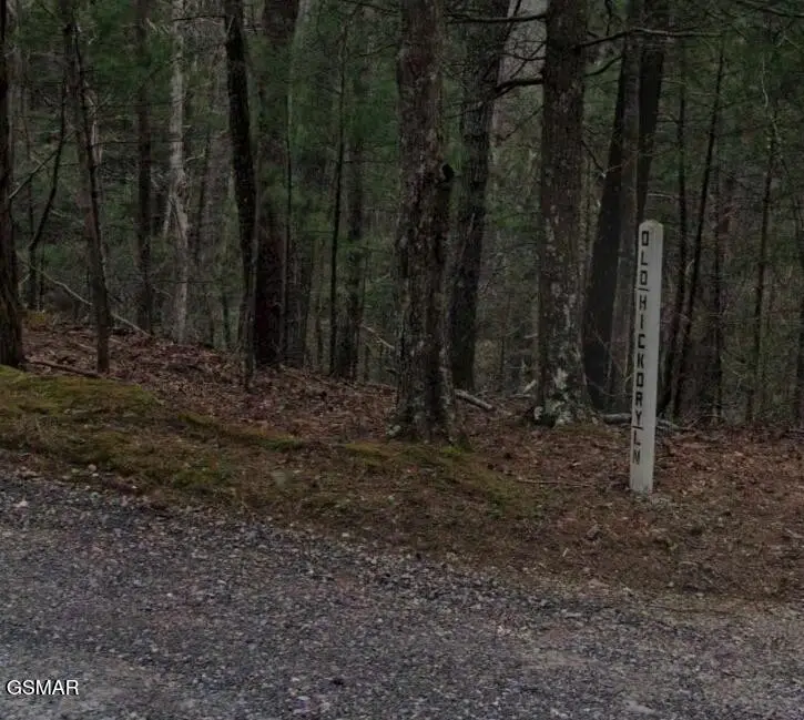 0 Old Hickory Road, Tellico Plains, TN 37385 - #1