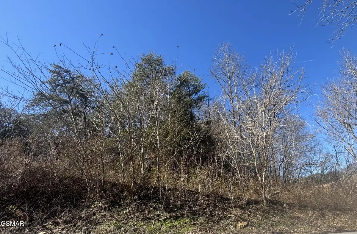 4 Rule Hollow Road, Sevierville, TN 37876 - #1
