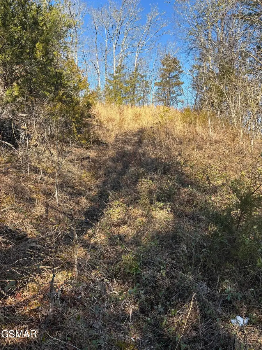 4 Rule Hollow Road, Sevierville, TN 37876 - #3