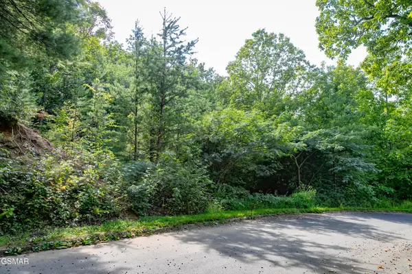 13 Lexy Lane, Sevierville, TN 37862