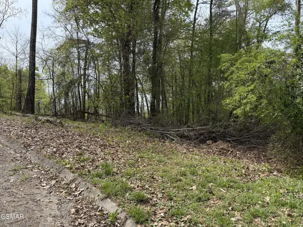 6 John Spears Way, Sevierville, TN 37876