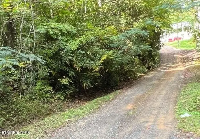 0 0 Branam Hollow Road Off, Gatlinburg, TN 37738 - #1