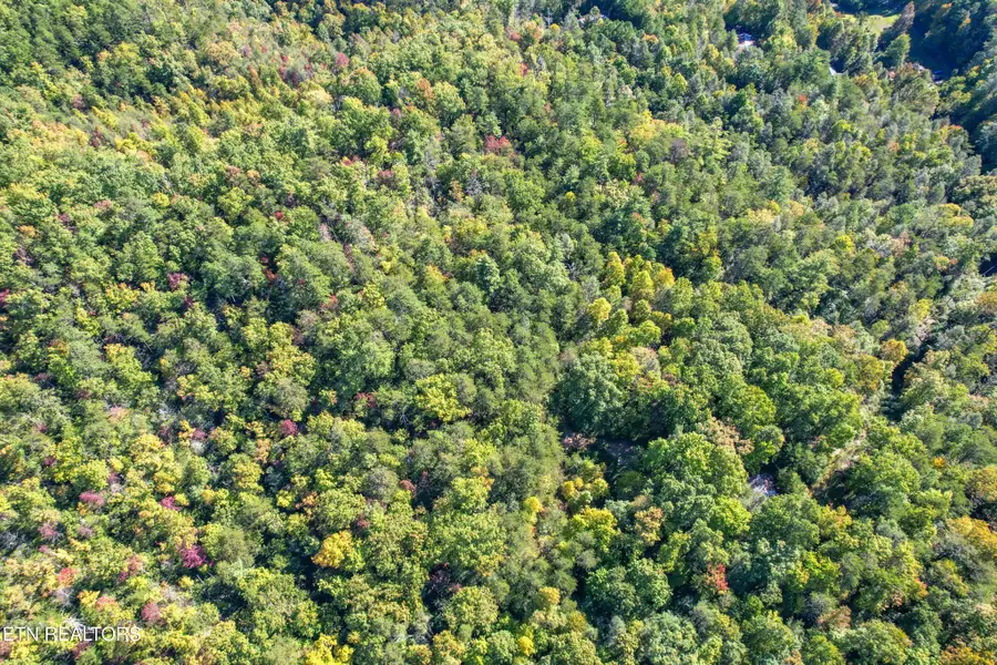 0 0 Branam Hollow Road Off, Gatlinburg, TN 37738 - #3