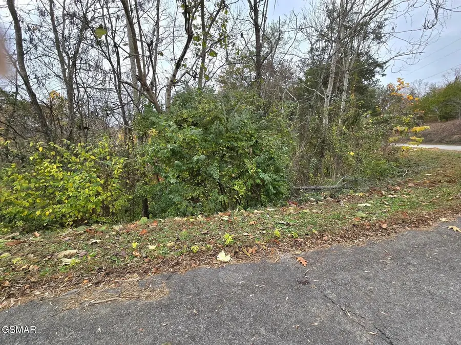 17 Scott Street, Sevierville, TN 37876 - #2