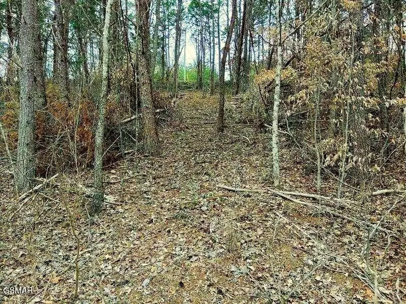17 Scott Street, Sevierville, TN 37876 - #3
