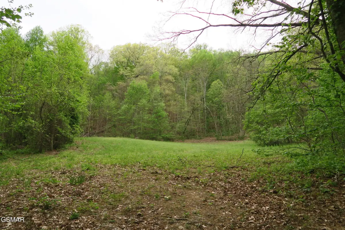 250 Mountain Side Lane, Rocky Top, TN 37769 - #1