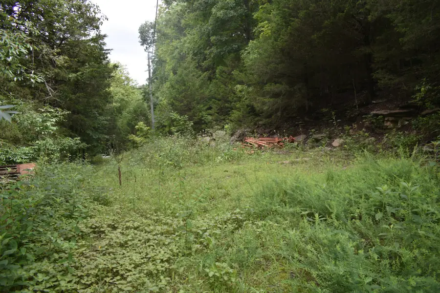 0 Ben Gentry Ln, Elmwood, TN 38560 - #3