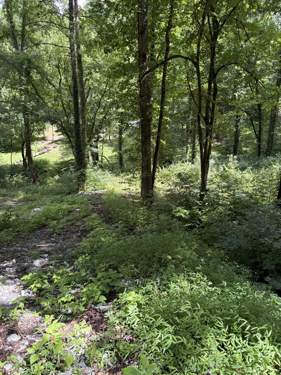 0 Harbor Dr, Lancaster, TN 38569 - #2