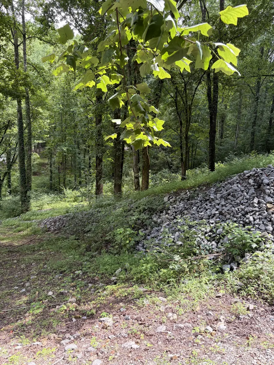 0 Harbor Dr, Lancaster, TN 38569 - #3