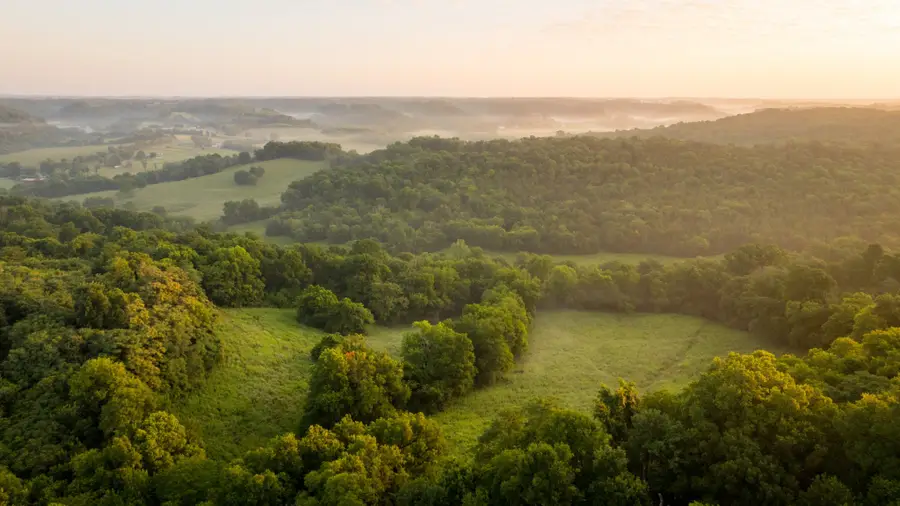 3556 Buford Station Rd, Lynnville, TN 38472 - #3