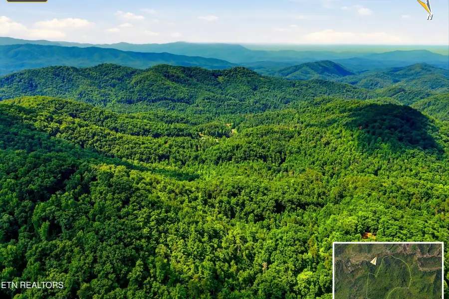 5 Wilhite Rd, Sevierville, TN 37876 - #3