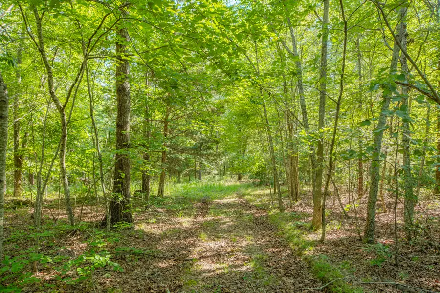 0 Pinewood Road, Nunnelly, TN 37137 - #3