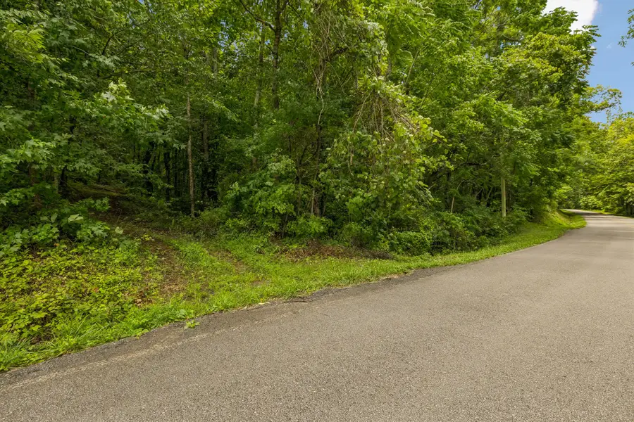 4876 Louise Creek Rd, Cunningham, TN 37052 - #3