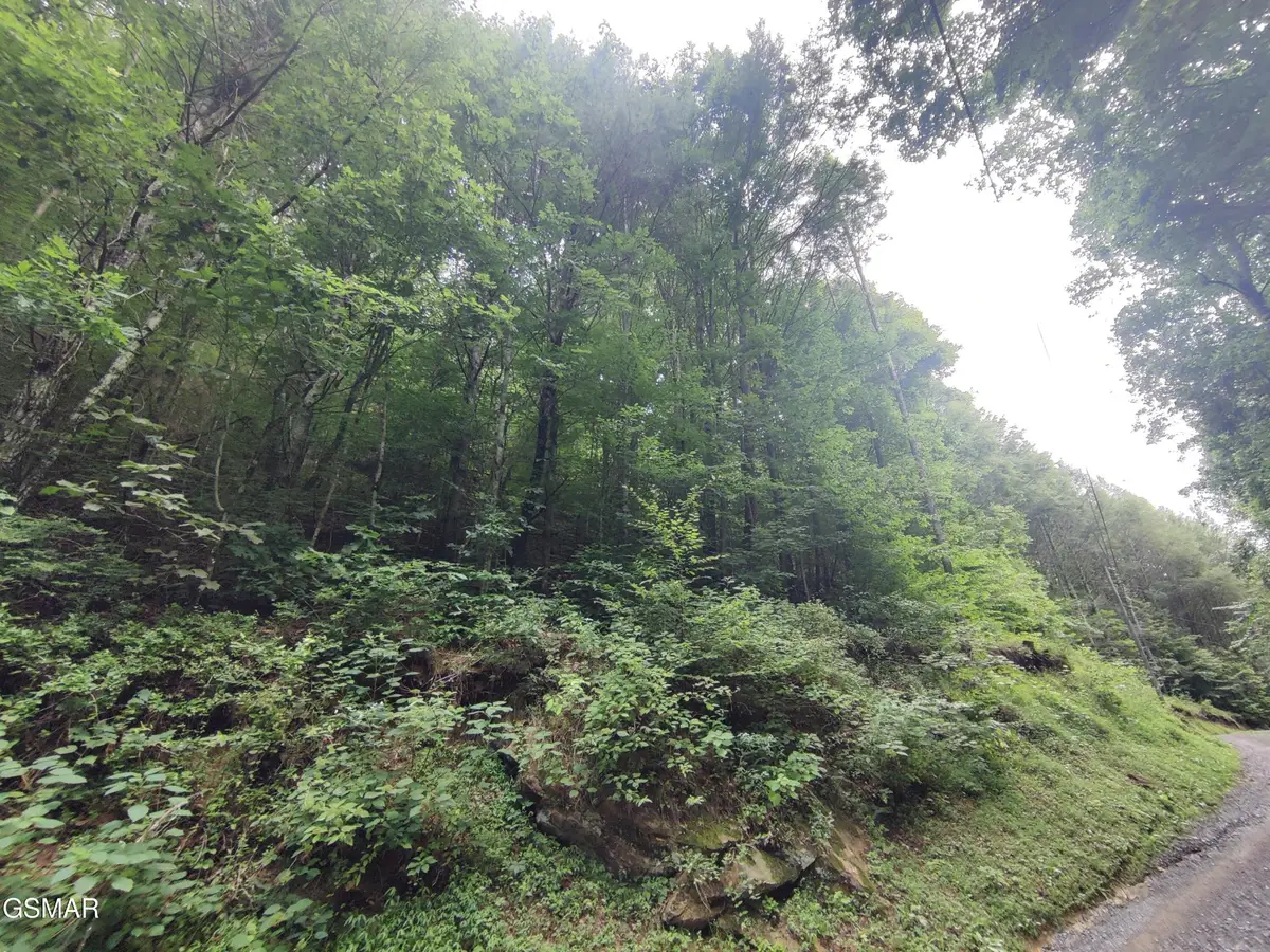 0 Old Hag Hollow Way, Sevierville, TN 37876 - #1