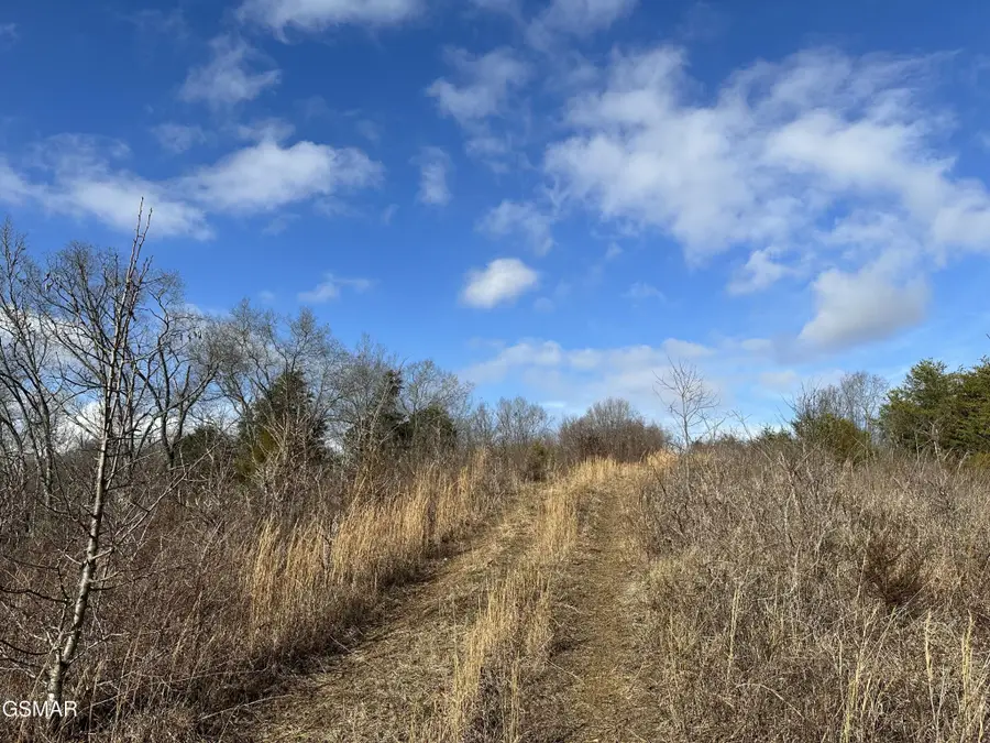 0 Leatherwood Road, Sevierville, TN 37876 - #2