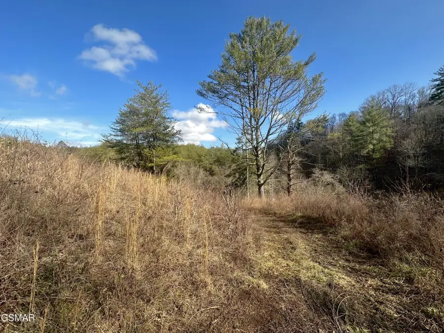 0 Leatherwood Road, Sevierville, TN 37876 - #3