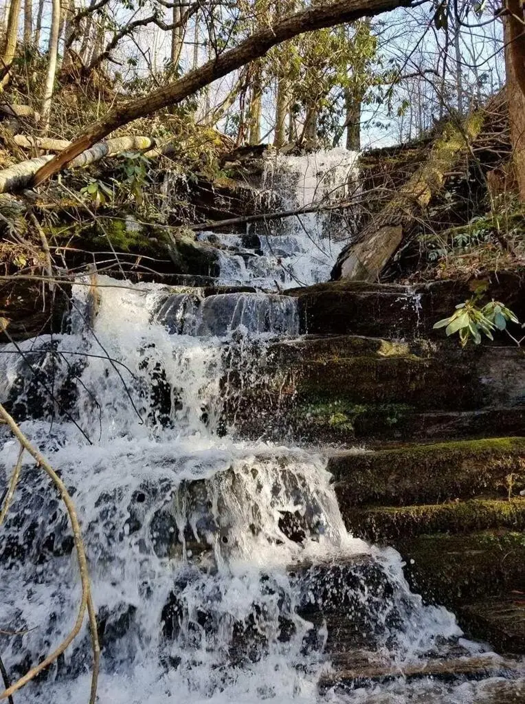 2440 Paradise Falls Way, Sevierville, TN 37862 - #2