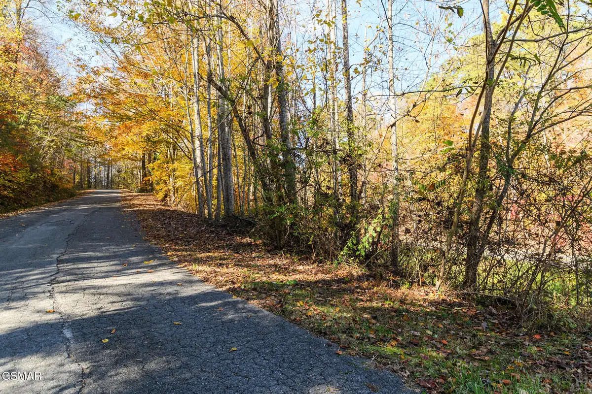 1 Jones Cove Road, Cosby, TN 37722 - #1