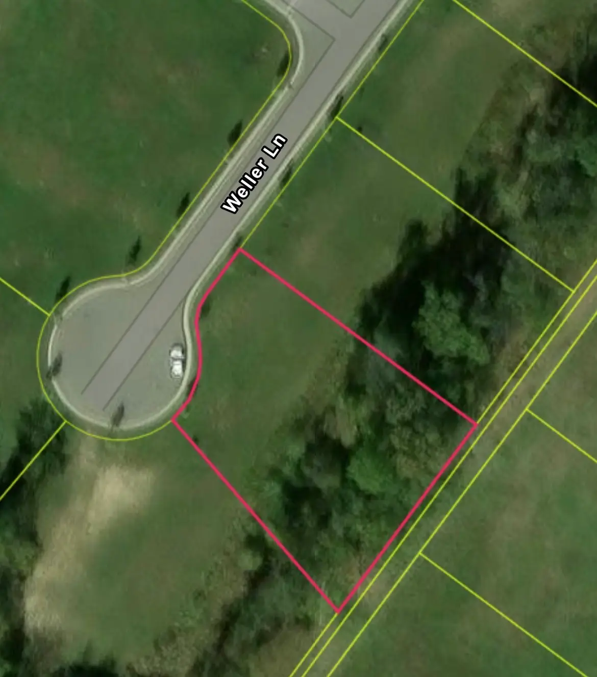 8761 Weller Ln, College Grove, TN 37046 - #1