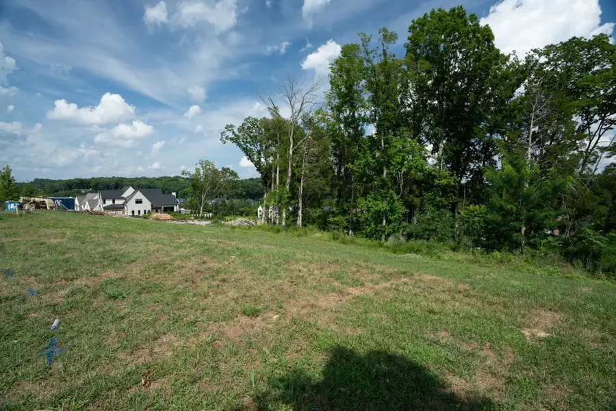 8761 Weller Ln, College Grove, TN 37046 - #3