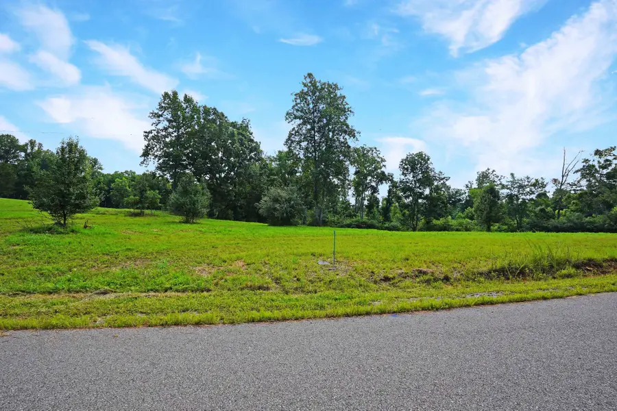 4 Peachers Lane, Indian Mound, TN 37079 - #2