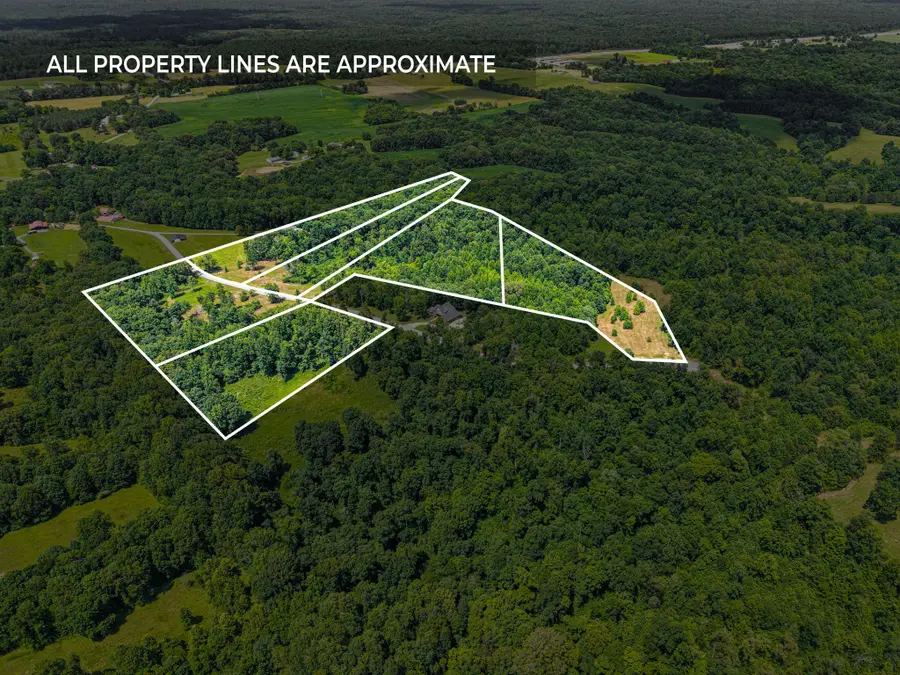 5 Peachers Lane, Indian Mound, TN 37079 - #3